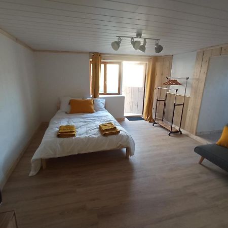 Studio Meuble Proche Des Thermes Cransac Eksteriør bilde